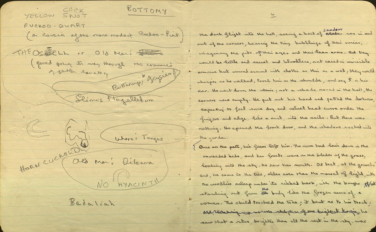 A page of notes from the Red Prose Notebook.