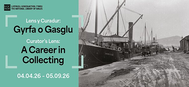 Curator’s Lens: A Career in Collecting 