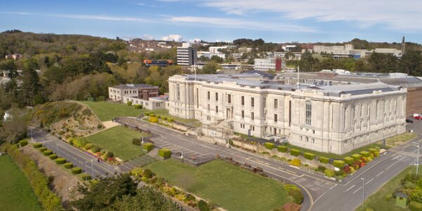 Jo Williams appointed to Library Board of Trustees