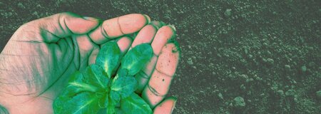 Tu Bishvat