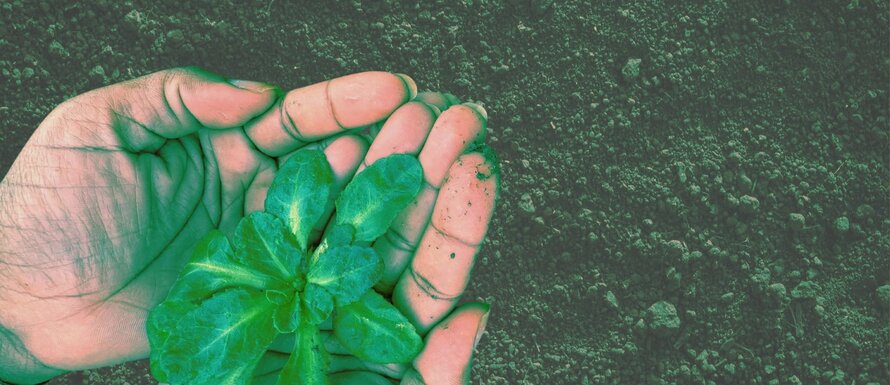 Tu Bishvat
