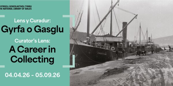 Curator's Lens: A Career in Collecting