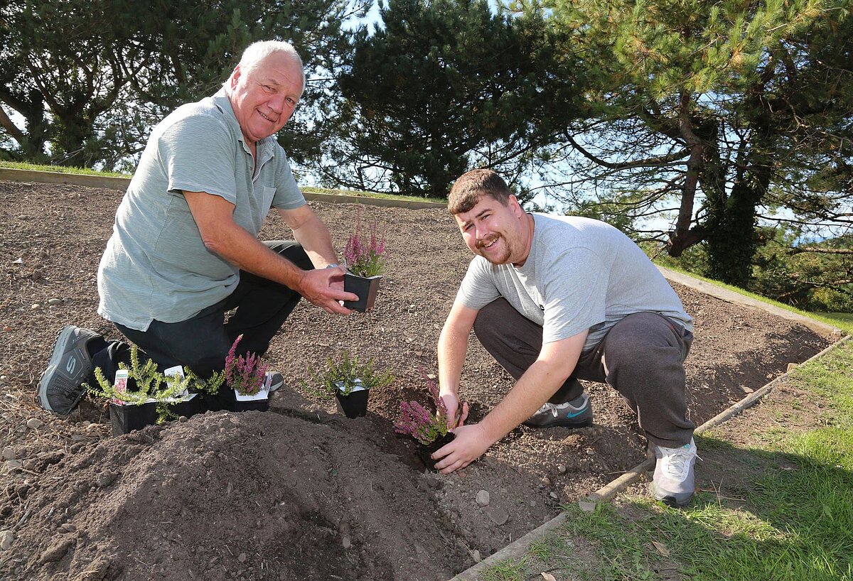 Two people gardening and planting in the National Library of Wales gardens