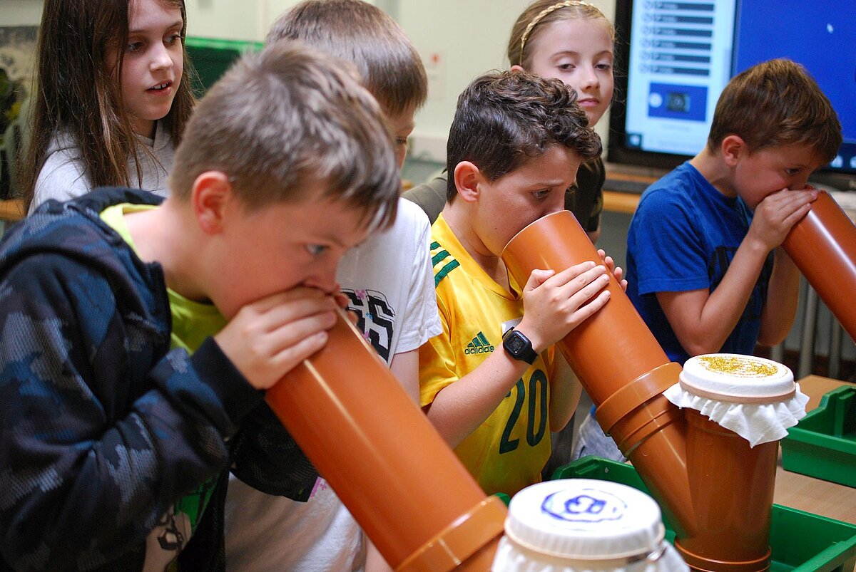 Children blowing into brown guttering pipes at the children's event