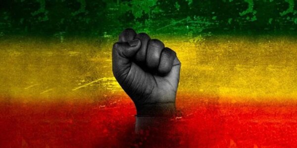 Anti-racist Wales Action Plan Projects - Impact Survey