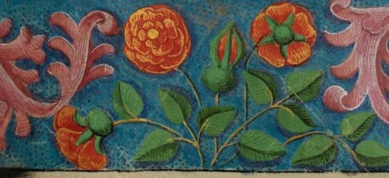 Decoration detail on a manuscript page showing red roses surrounded by green leaves on a dark blue background