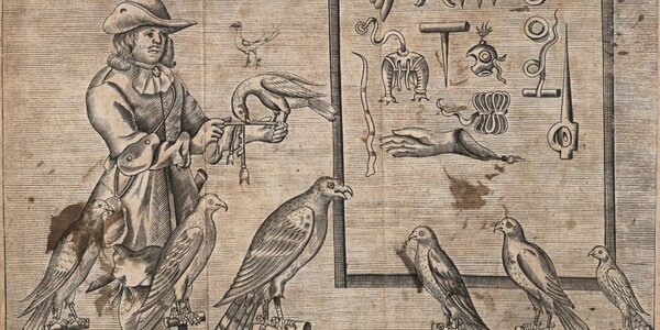 Illustration of birds in Hunting handbook, 'The Gentleman's Recreation : in four parts : viz. hunting, hawking, fowling, fishing' (1697) GJW 60