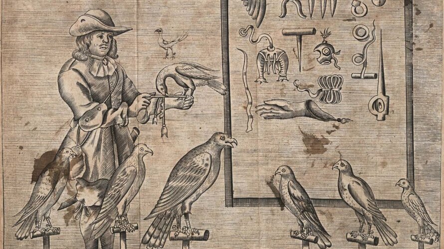 Illustration of birds in Hunting handbook, 'The Gentleman's Recreation : in four parts : viz. hunting, hawking, fowling, fishing' (1697) GJW 60