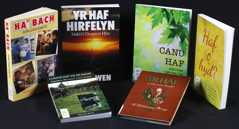 Books on the theme of summer for adults