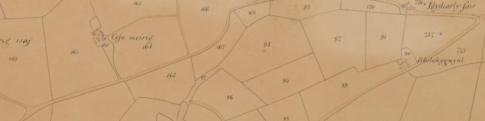 Part of the Tithe Map for the parish of Gwnnws