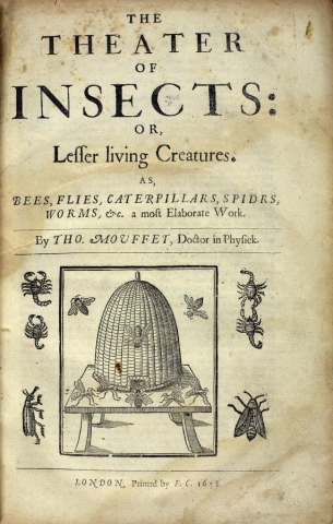 Title page of ‘The Theater of Insects’ cc