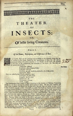 The first page of the first chapter of ‘The Theater of Insects’: descriptions of bees cc