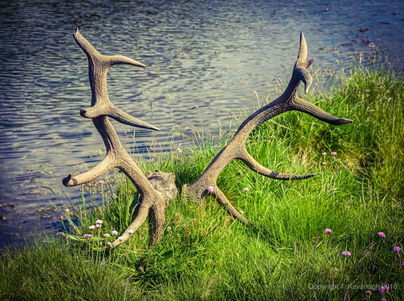 An image of a poster for the 'Layers in the Landscape' project, showing a pair of antlers resting on a riverbank