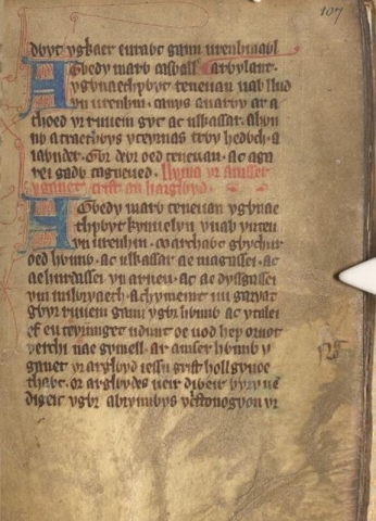 Peniarth MS 46 (p.107) showing blue ink decoration npc