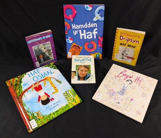 Books on the theme of 'summer' for children cc