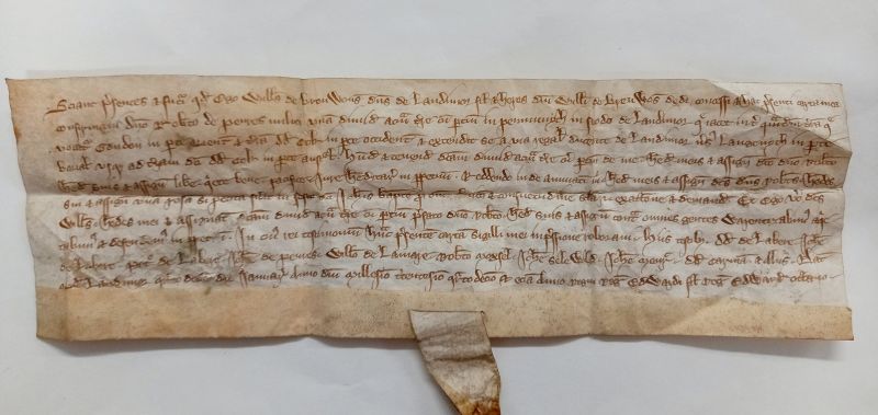 A medieval charter written in black ink on parchment 