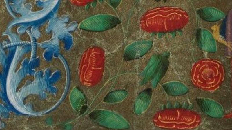 Decoration from a manuscript page showing red roses surrounded by green leaves on a dark background