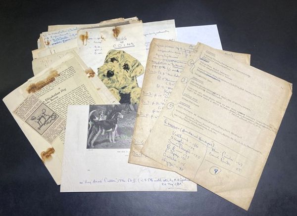 A selection of papers and photographs featuring dogs, laid out on a black table top