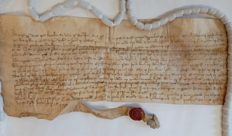 A medieval charter consisting of a single page of vellum with lettering in dark brown ink and with a small red seal attached