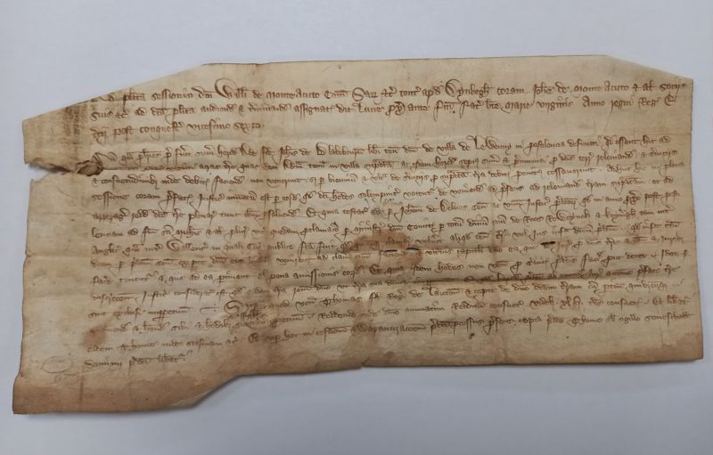 A medieval charter consisting of a single page of vellum with lettering in dark brown ink and no seal