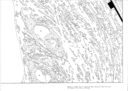 a black and white map showing numbered areas of shingle