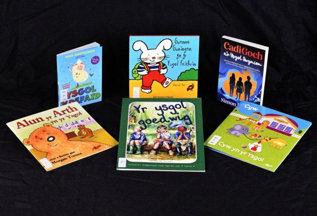 Examples of children's storybooks about various schools 