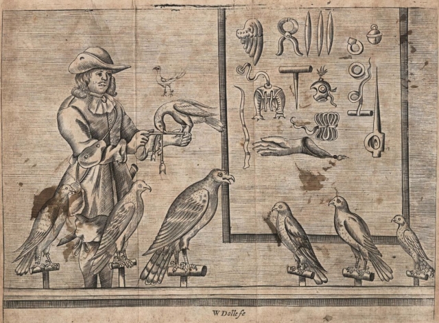 Illustration of birds in Hunting handbook, 'The Gentleman's Recreation : in four parts : viz. hunting, hawking, fowling, fishing' (1697) GJW 60 cc